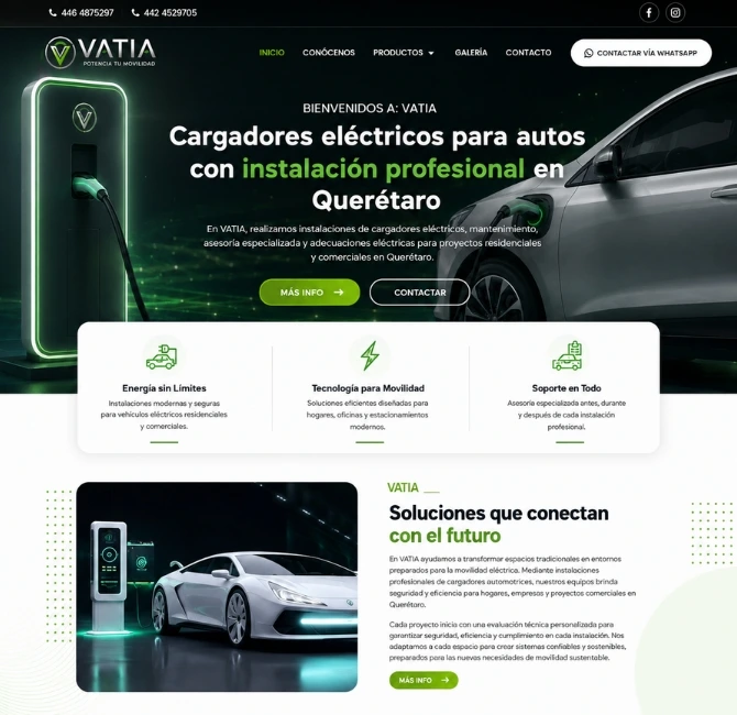 diseño web Aguascalientes