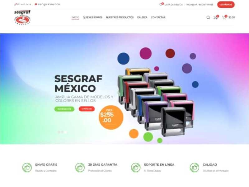 paginas web ecommerce aguascalientes